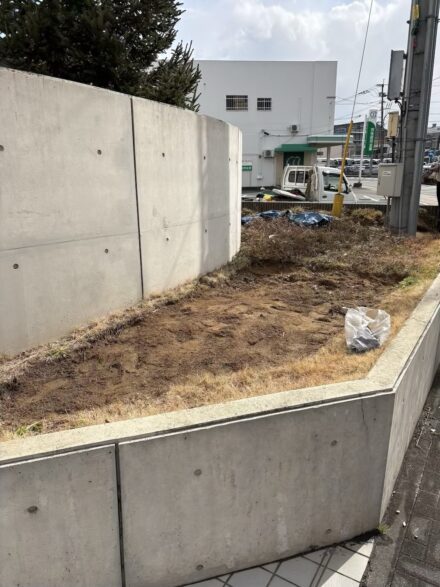 Before
